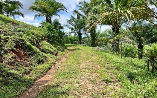 44-Hectare Agricultural Gem with Development Potential in Parrita, Costa Rica