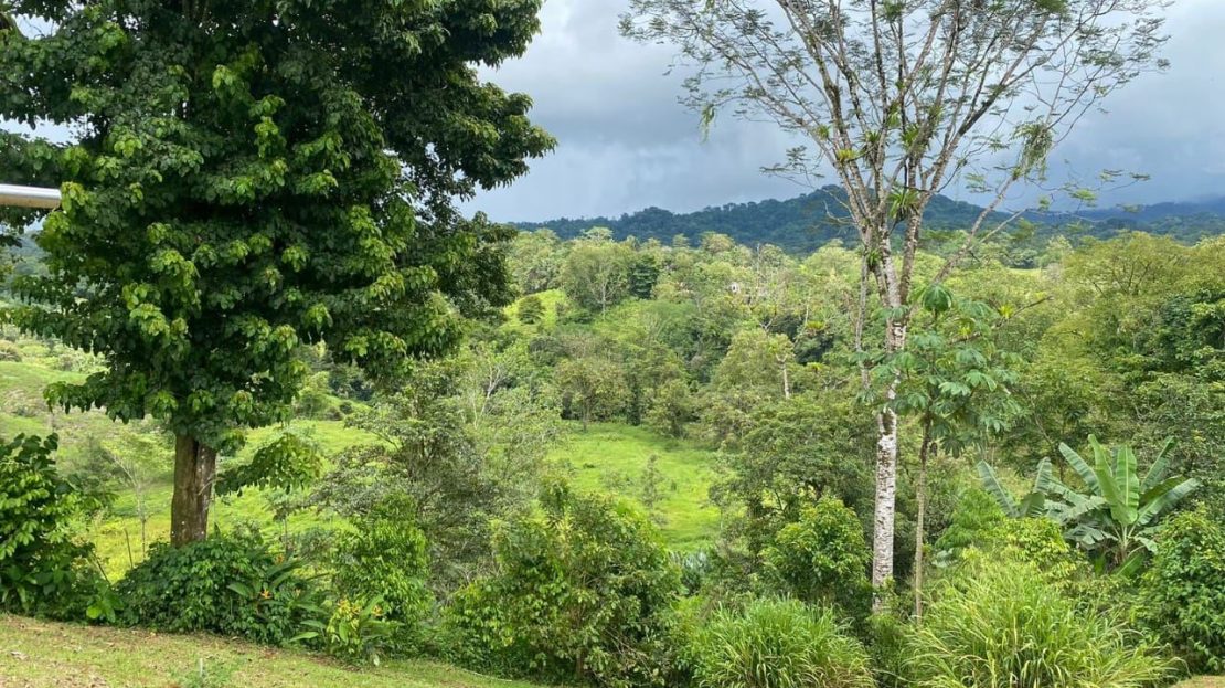 Costa Rica Real Estate