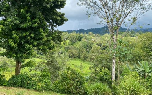 Home in the Heart of Nature