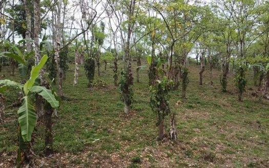 3 acres in picturesque Quizarra with easy access, water, and electric.