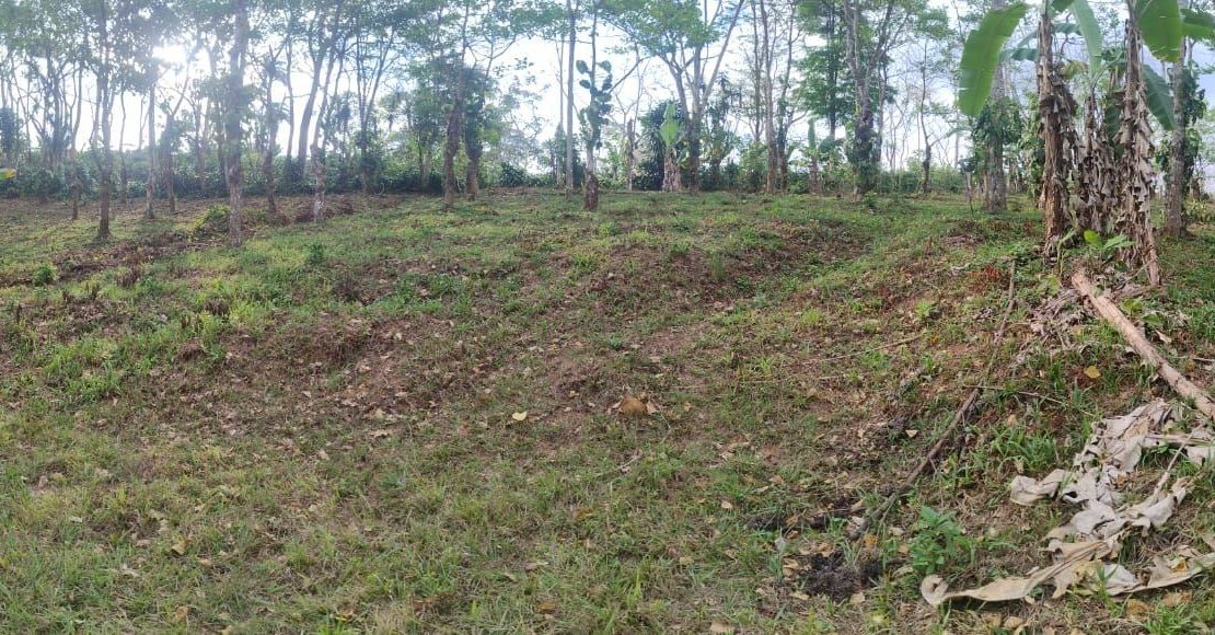 3 acres in picturesque Quizarra with easy access