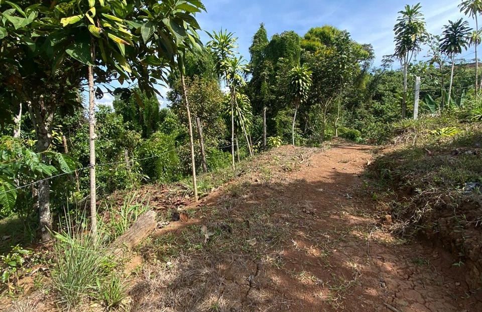 Fruit producing farm with view