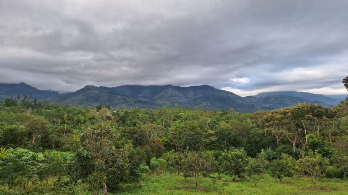 Costa Rica Real Estate