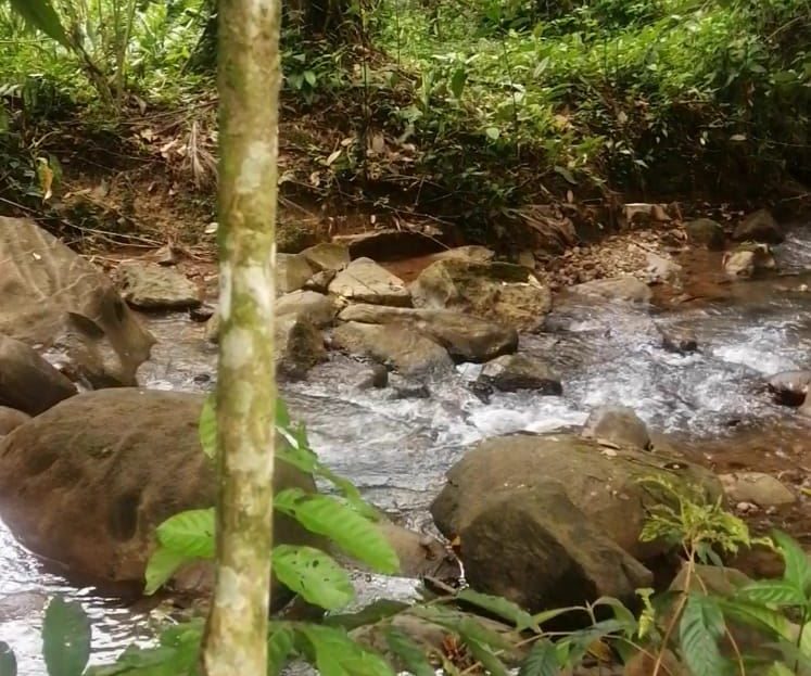 electricity and water availability.