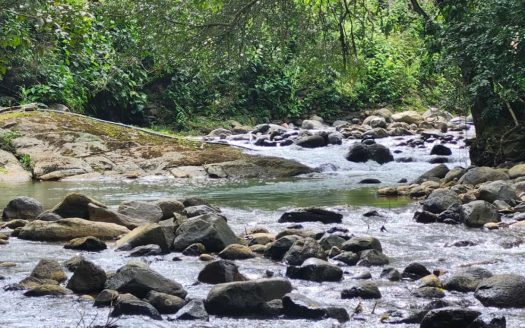 Expansive farm only 20 minutes from downtown San Isidro del General