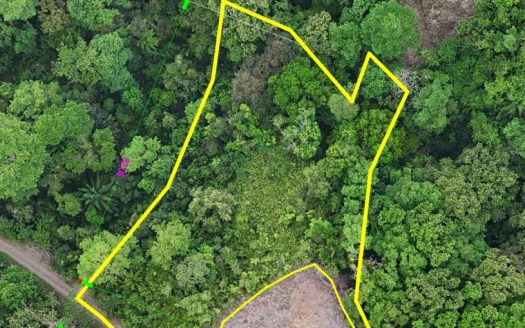 Breathtaking Ocean & Mountain Views – Best Value Lot Near Quepos