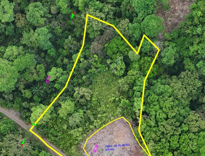 Costa Rica Real Estate