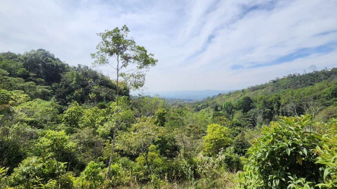 creek and easy access.