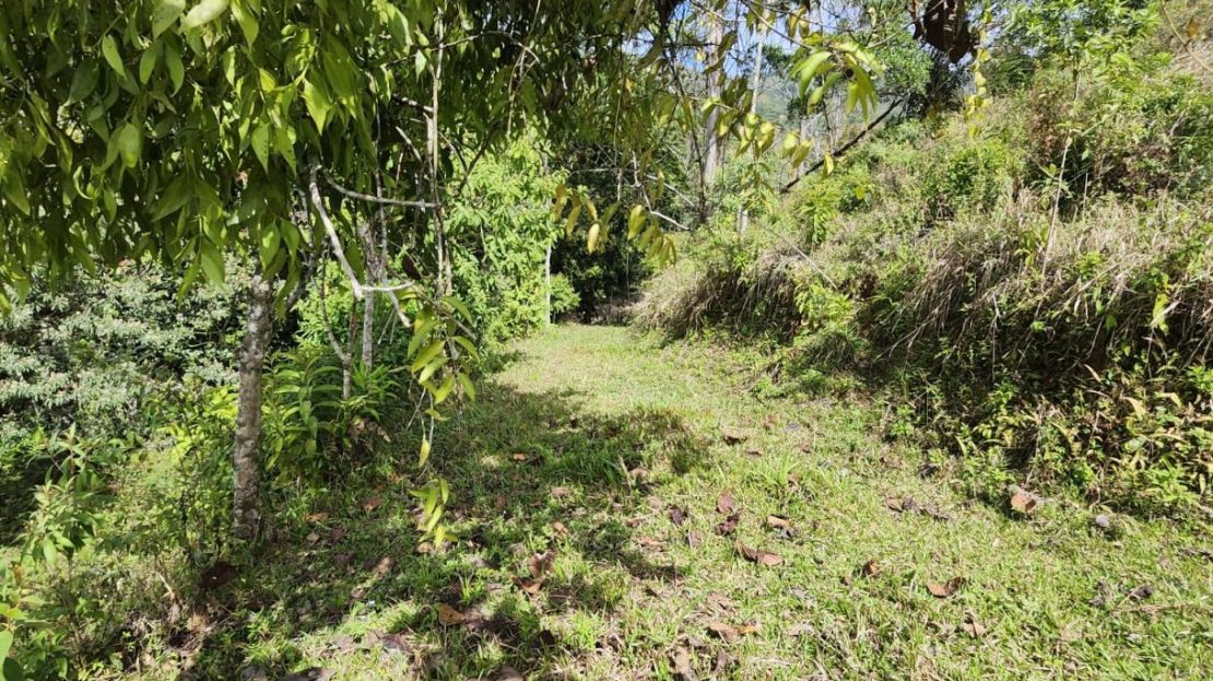 Well located farm with views