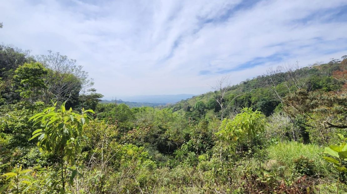 Costa Rica Real Estate