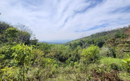 Well located farm with views, spring, creek and easy access.