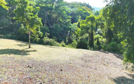 Stunning Property for Sale in Barú Surrounded by Lush Nature and Paradise Views