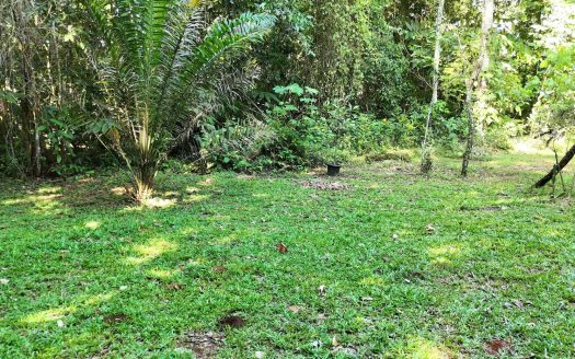 Stunning Land of 6,545 M² For Sale In Peñas Blancas, Pérez Zeledón – Nature, Privacy, And Comfort