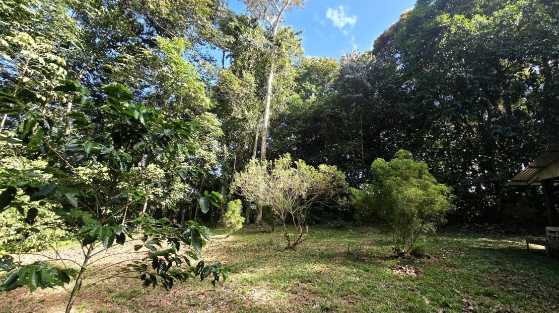 545 M² For Sale In Peñas Blancas