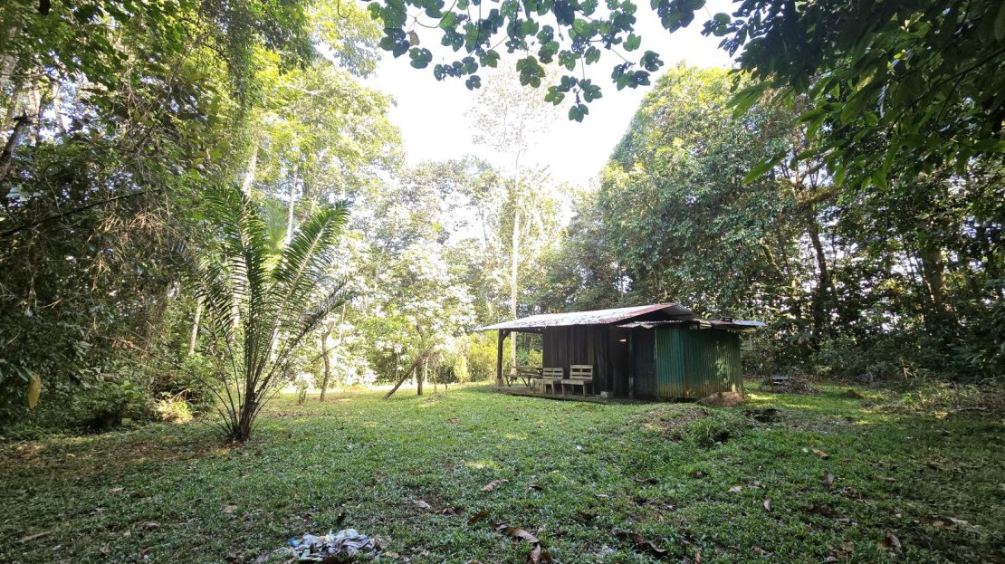 Pérez Zeledón – Nature