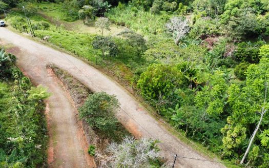 Convenient 7+ acre farm with various water sources in San Blas, Perez Zeledon.