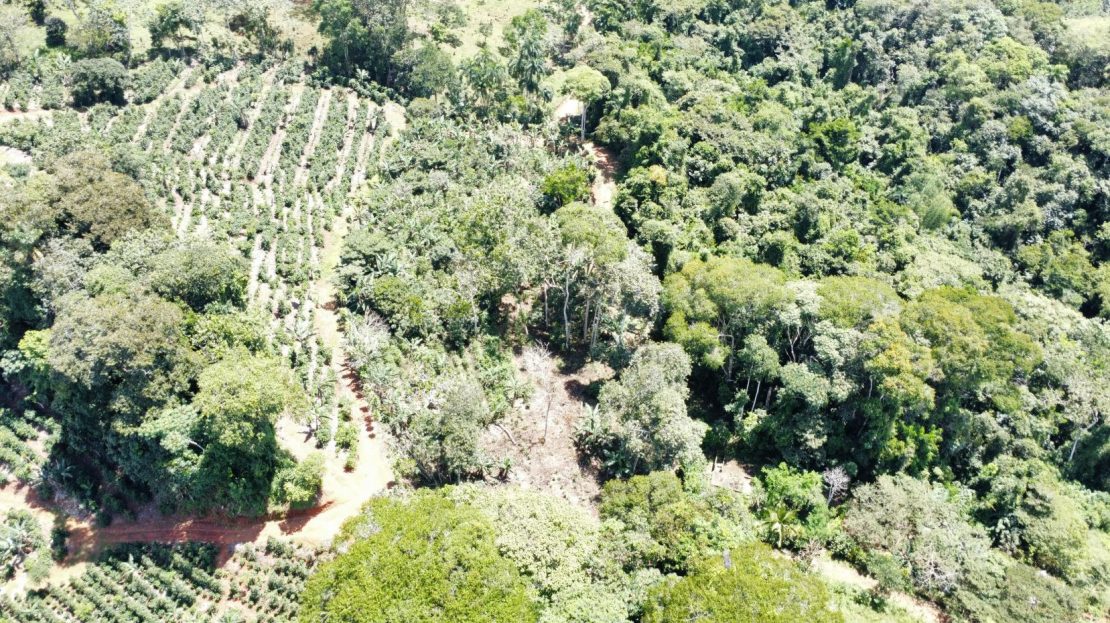 Costa Rica Real Estate