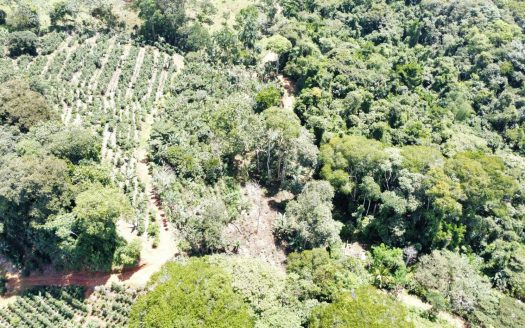 10,007 m² Property For Sale San Rafael de Platanares, Pérez Zeledón Mountain Views, Fresh Climate & Only 15 km from Uvita 4×4 Adventure