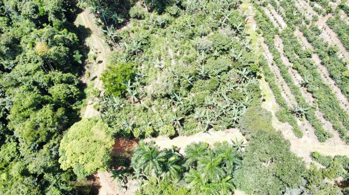 007 m² Property For Sale  San Rafael de Platanares