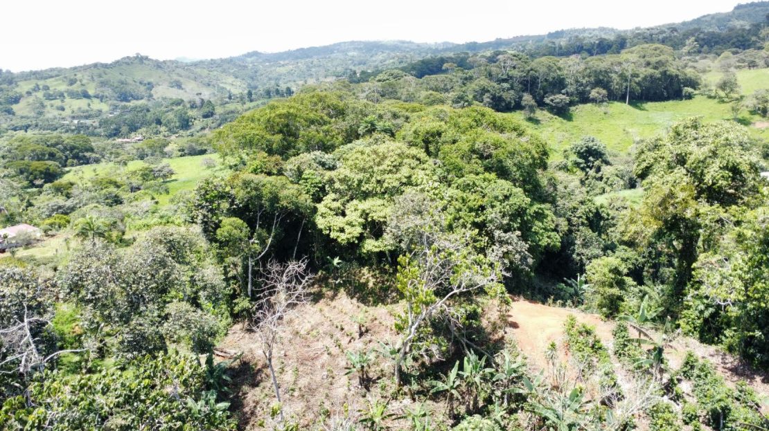 Pérez Zeledón Mountain Views