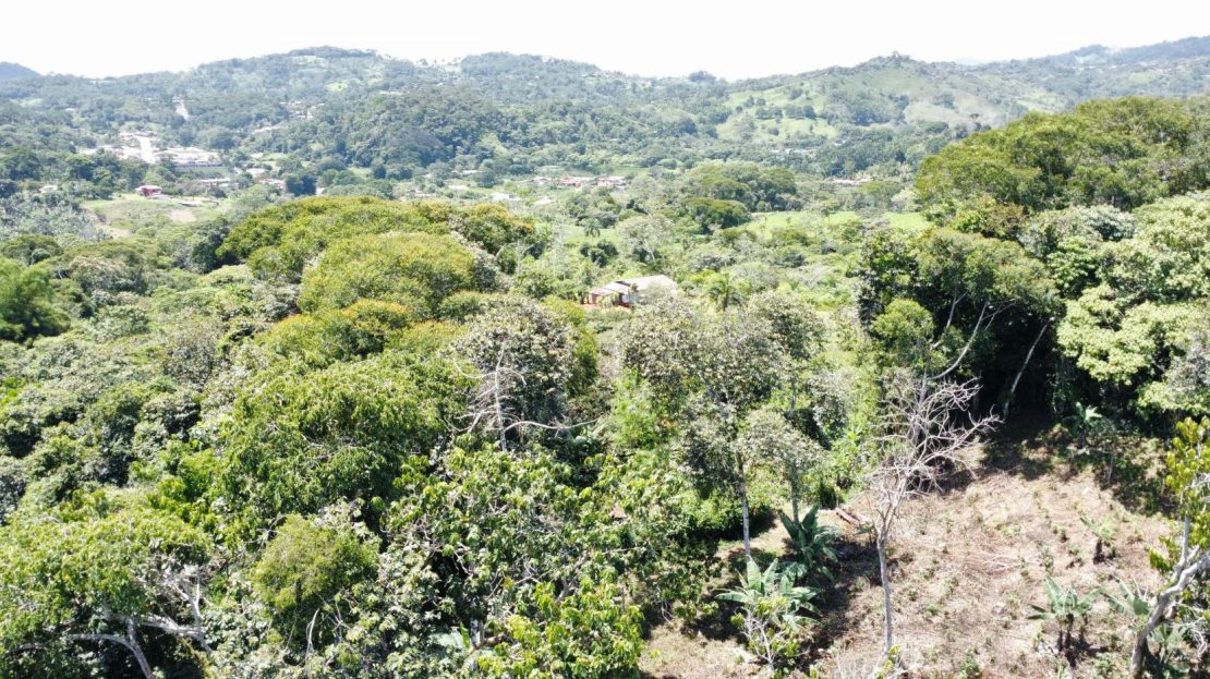 Fresh Climate & Only 15 km from Uvita  4x4 Adventure