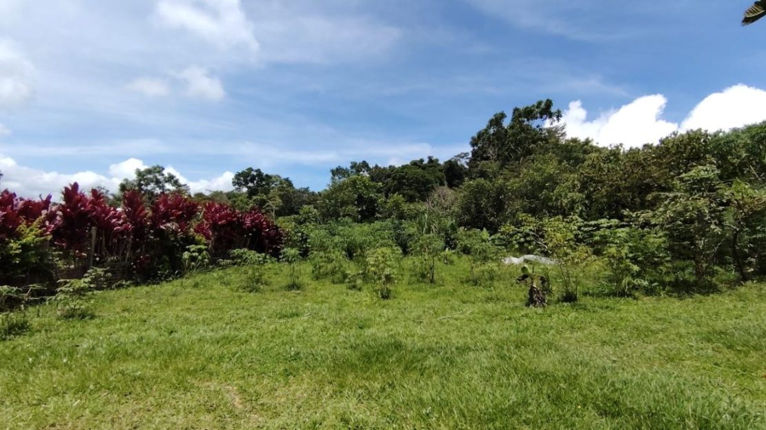 Costa Rica Real Estate