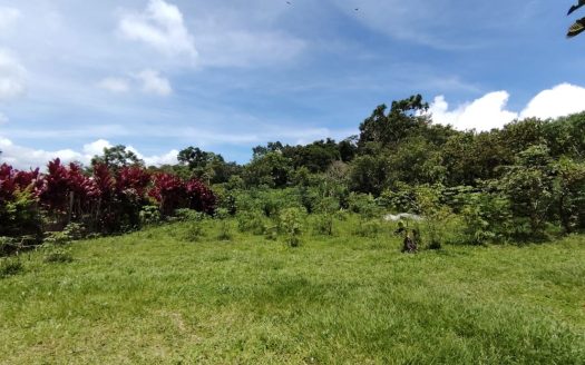 Build In Nature – For Sale – Private & Accessible Lot With Year-Round Cool Climate