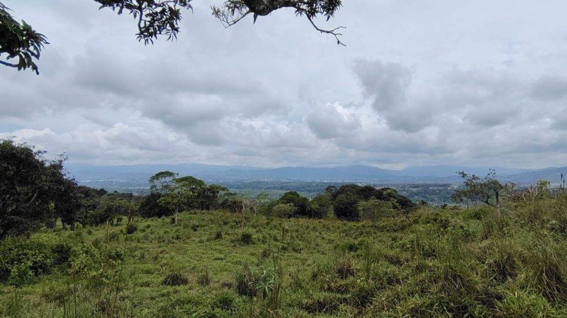 Costa Rica Real Estate