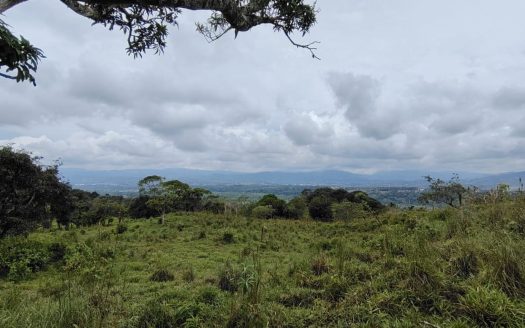 FOR SALE: STUNNING 9-HECTARE FARM IN SAN BLAS WITH SPRINGS