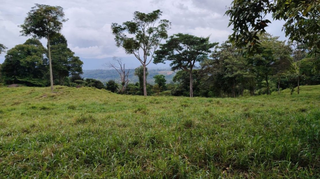 FOR SALE: STUNNING 9-HECTARE FARM IN SAN BLAS WITH SPRINGS