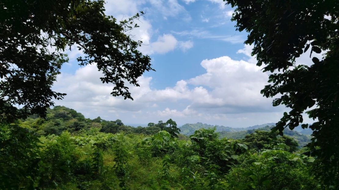 For Sale- Beautiful River