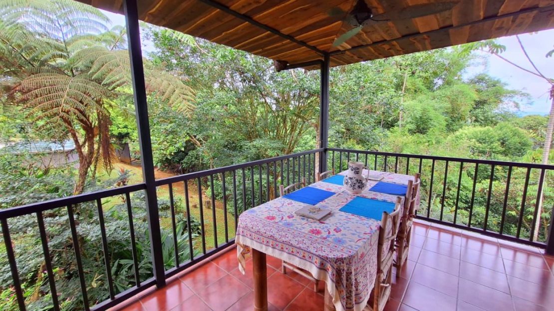 Privacy & Charm – 1.1 Hectares in Quizarra for $525 K