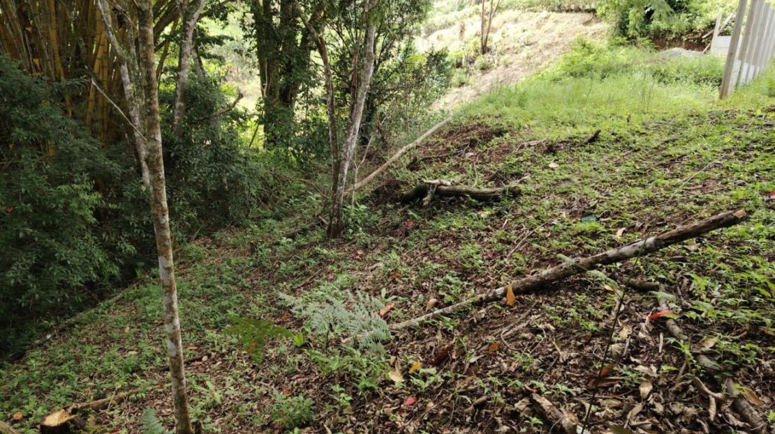 Costa Rica Real Estate