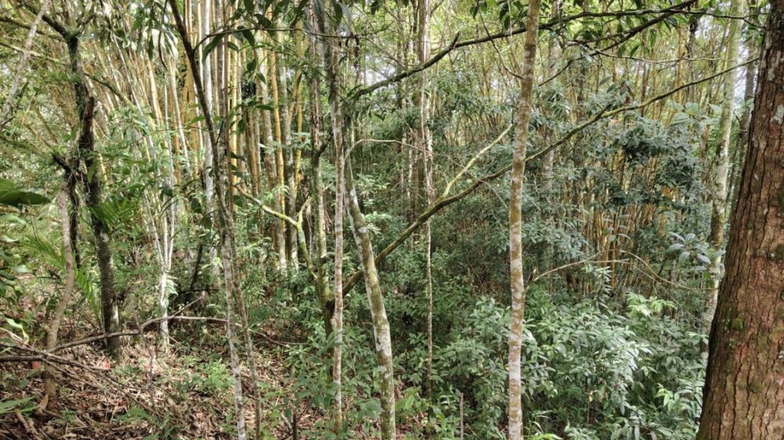 Premium Residential Lot For Sale Just 5 Km From San Isidro - Exclusivity & Value Guaranteed