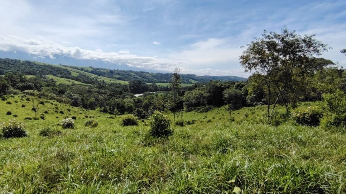 799 M² By The General River - Perfect For Recreation