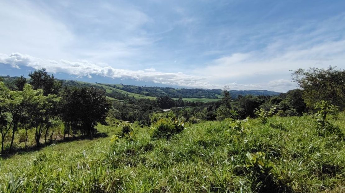 Costa Rica Real Estate