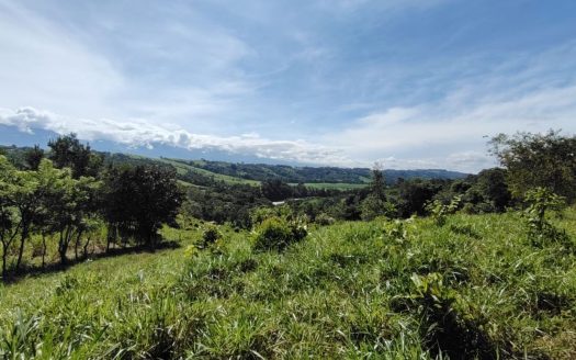 For Sale- 205,799 M² By The General River – Perfect For Recreation, Farming & Dream