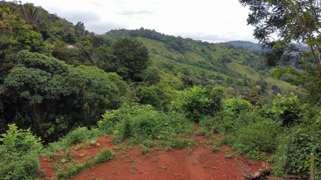 Costa Rica Real Estate