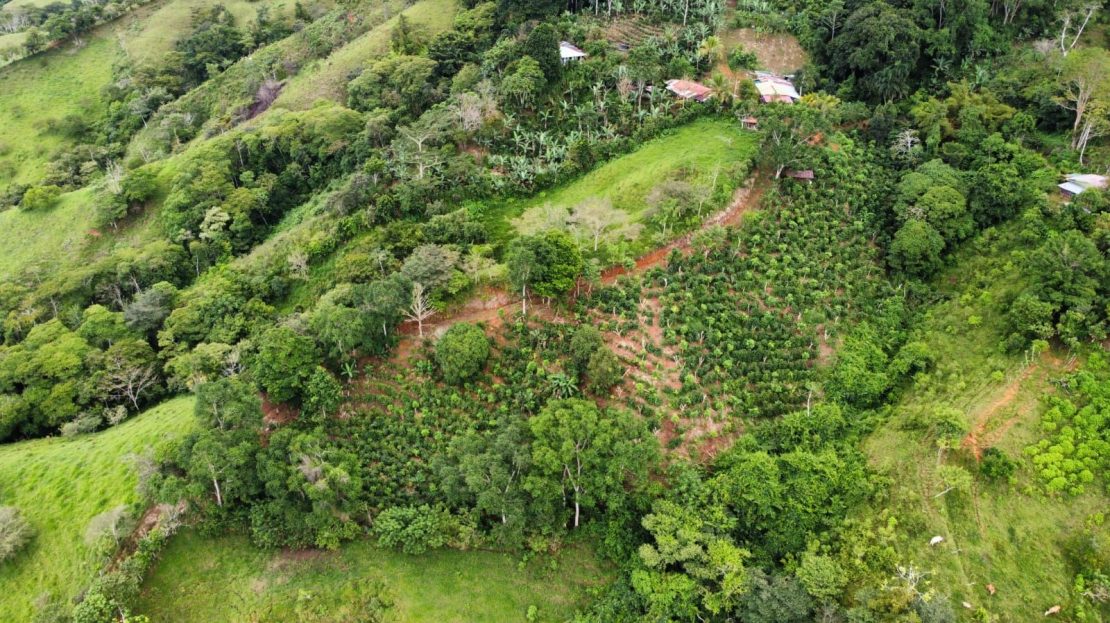 Dream Views Property For Sale In Platanares Hills