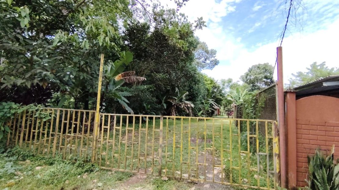 85 M² Lot For Sale With Fruit Trees And Cozy House