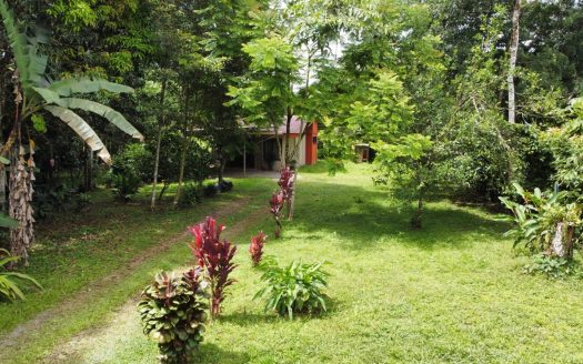 1,306,85 M² Lot For Sale With Fruit Trees And Cozy House