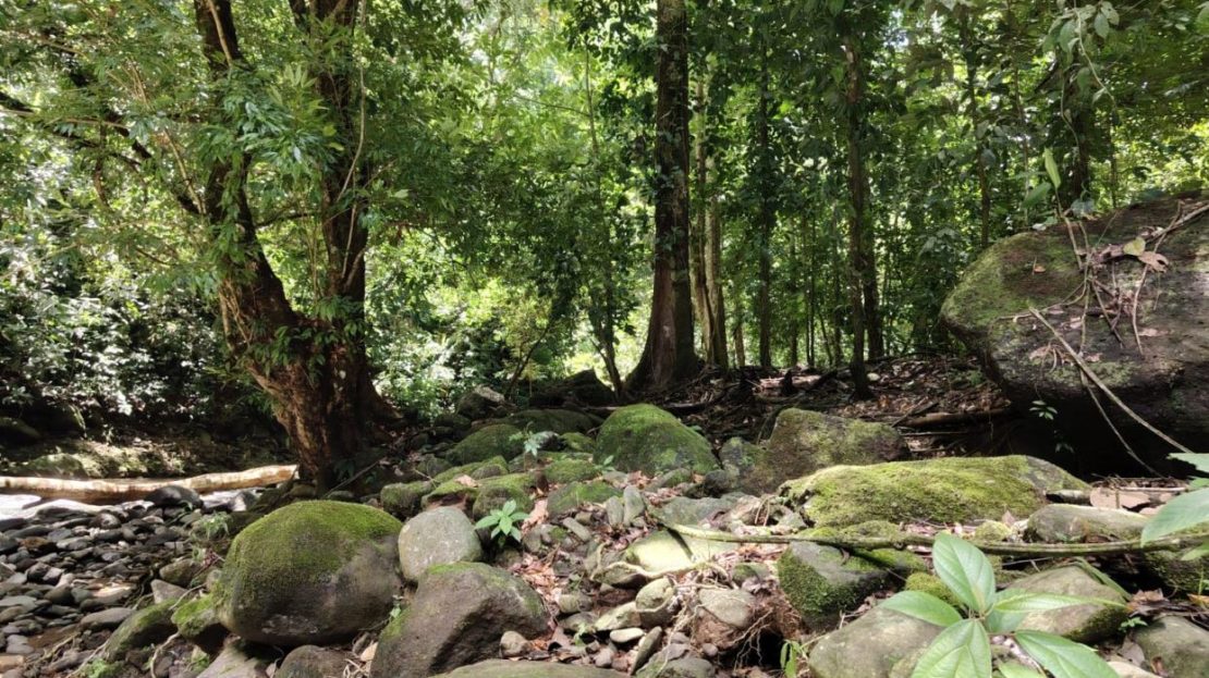 Costa Rica Real Estate