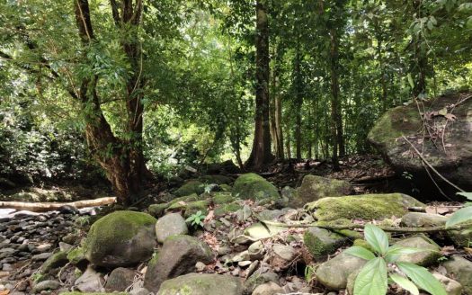 For Sale – Build Your Hilltop Home with Ocean Views & Total Serenity