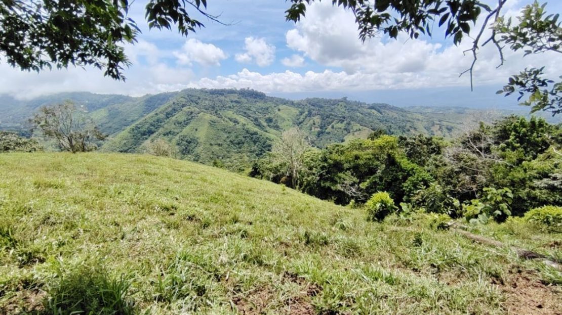 Costa Rica Real Estate