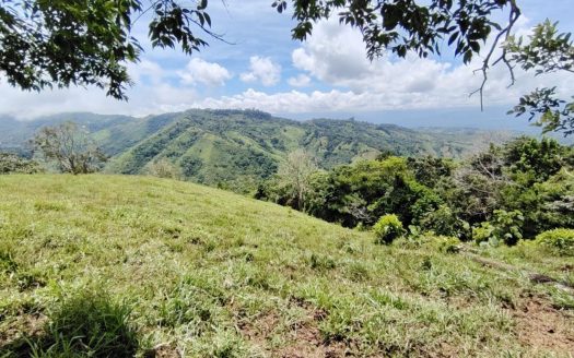 For Sale – Lot with Total Privacy And Stunning Sunsets – Unique Opportunity