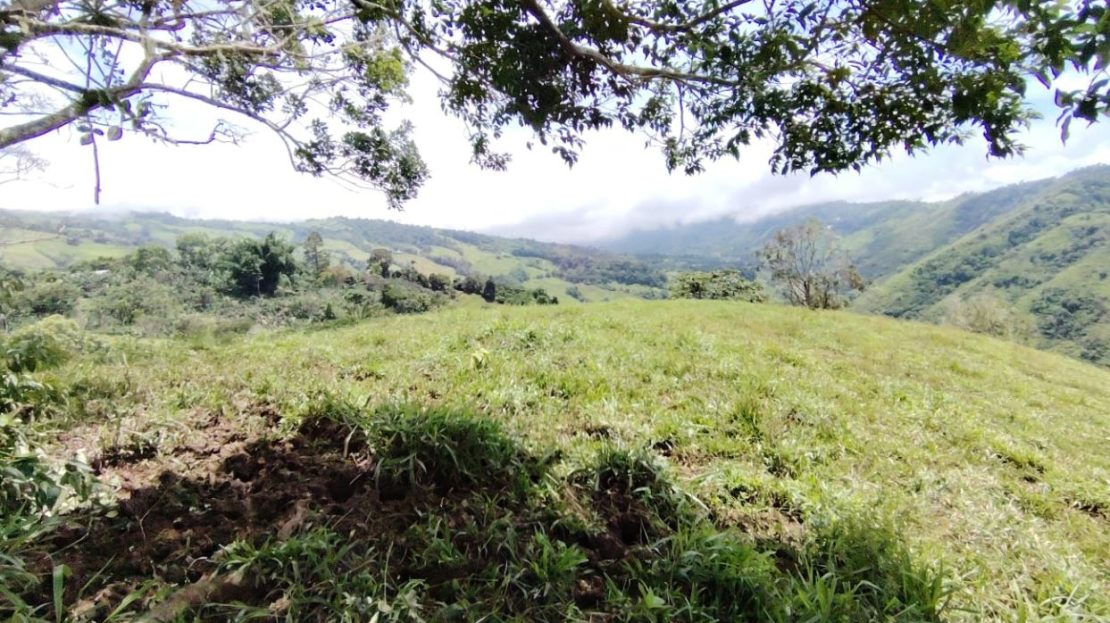 For Sale - Lot with Total Privacy And Stunning Sunsets - Unique Opportunity