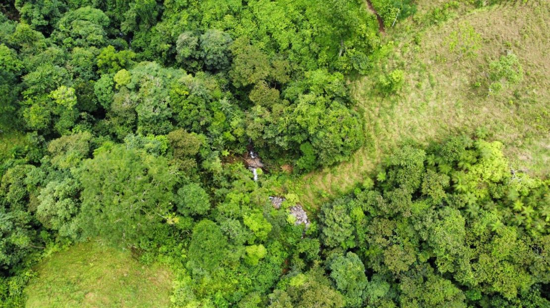 For Sale - Unique Property With Springs