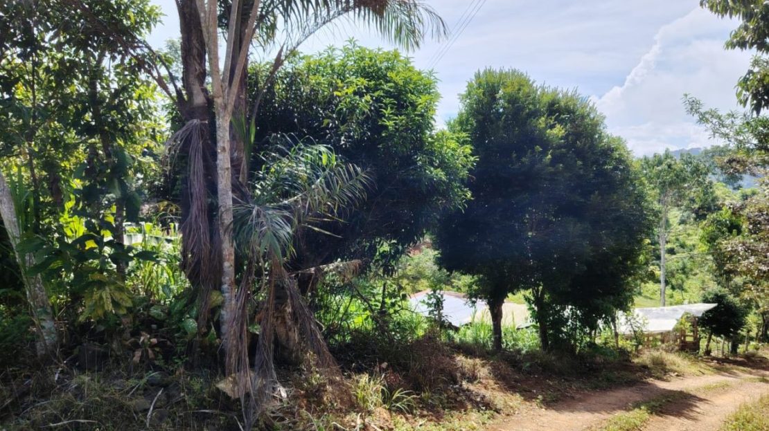 Fresh Climate & Privacy - 1782 M² For Sale