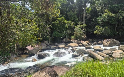 Riverfront Mountain Property in Puntarenas, Costa Rica – 2.7 Hectares with Home, Utilities & Endless Potential