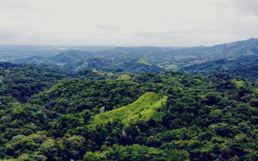 For Sale: 104-Acre Osa Property With Ocean Breezes And Mountain Backdrop